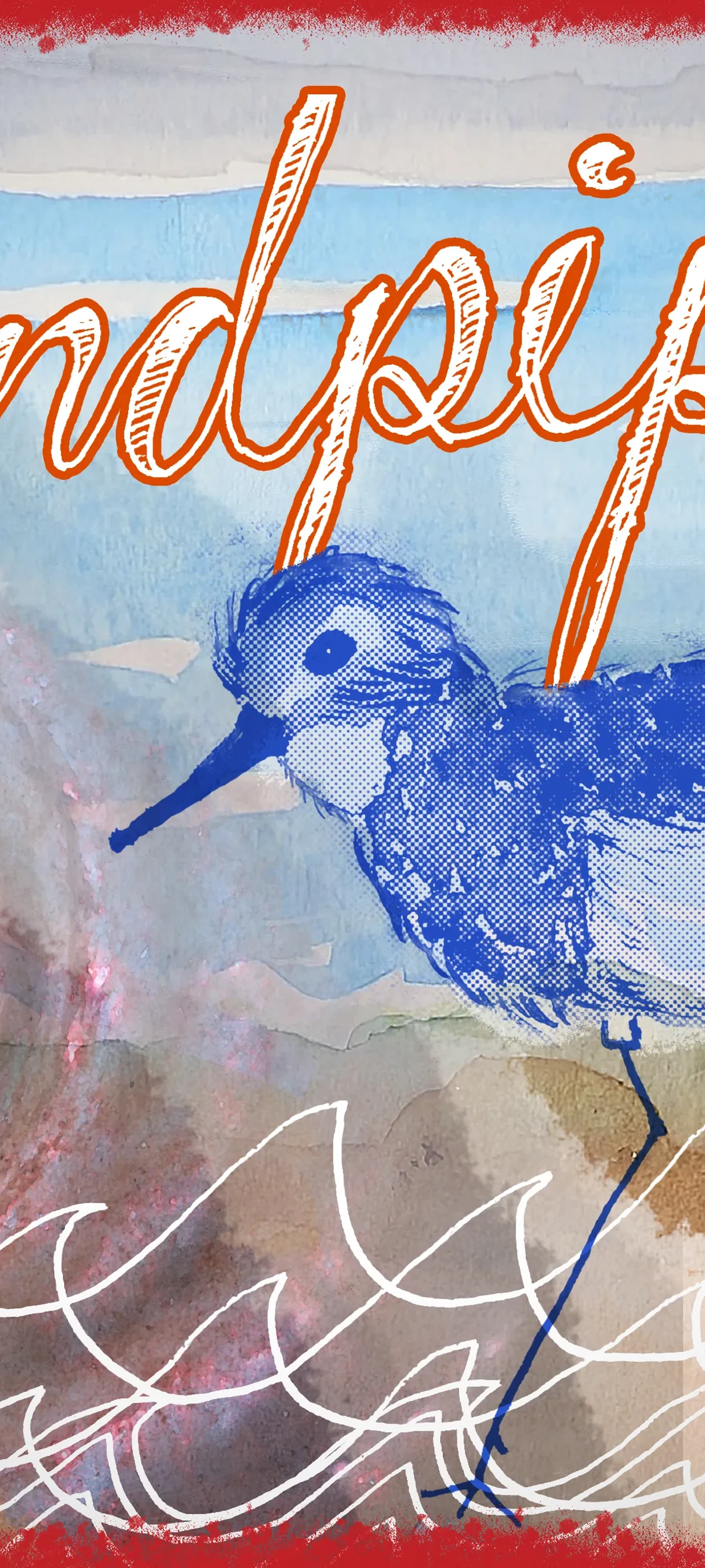 Sandpiper (close-up) wallpaper preview